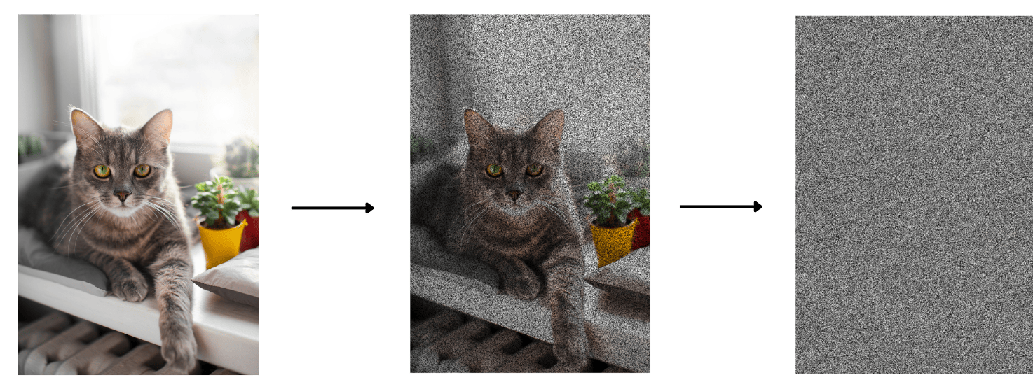 adding noise on a cat image
