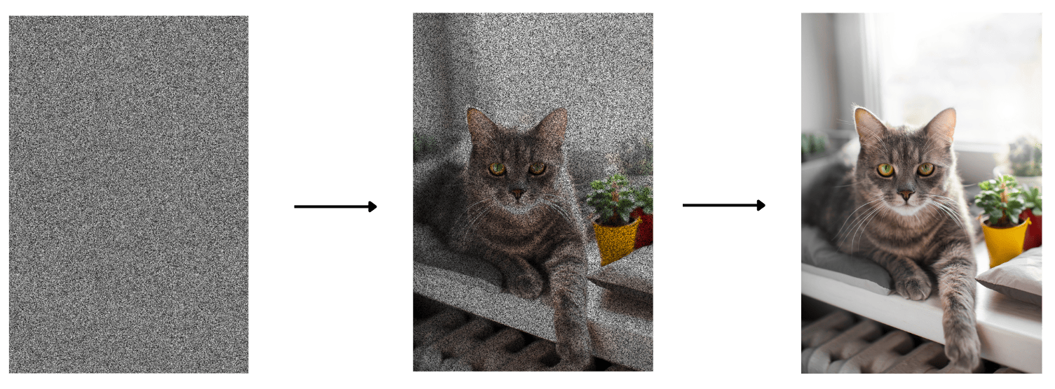 removing noise from a cat image