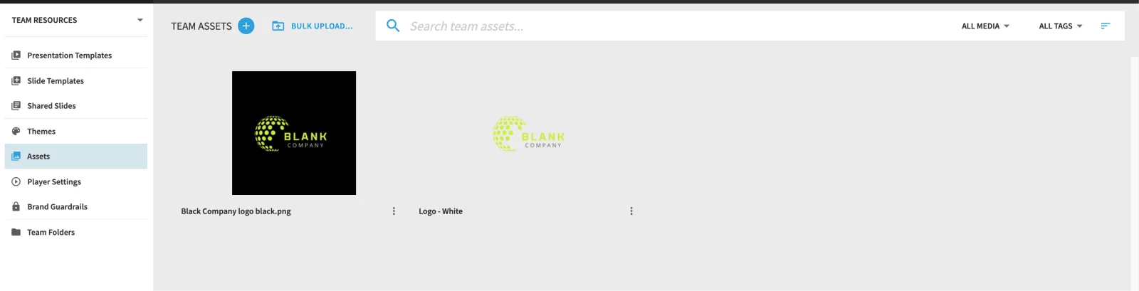 screenshot of brand assets feature